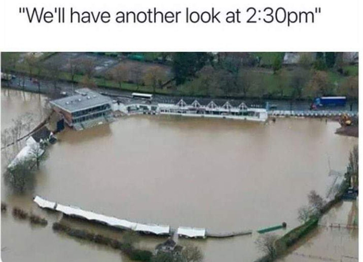 Our 2019 cricket season so far...