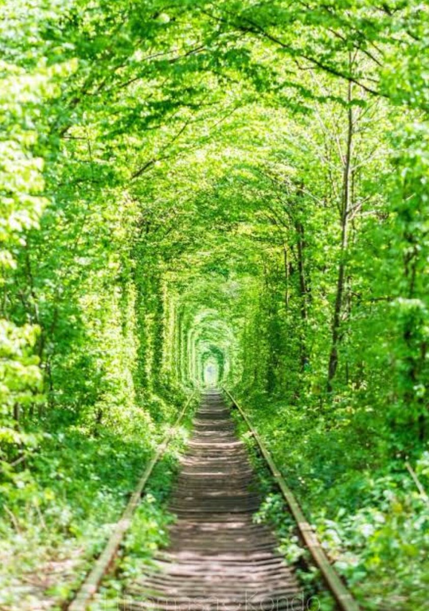 幸せの定義って
人それぞれ違うと思うけど…

幸せな結婚がしたいって
生徒からの投げかけに…一瞬
えっ？！
幸せな結婚って何だろう…？？
ふと、考えたよ😢
愛があればそれだけで幸せ？
条件が合えば愛は後から来るの？
私の価値観からは…そんな想いだけが巡るけど、きっと別の見方もあるよね？