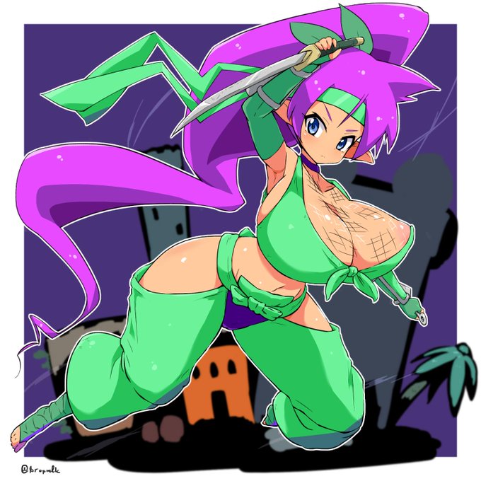 忍者シャンティーちゃん描き
腰回り見えてるのがえちいと思う
#Shantae 
