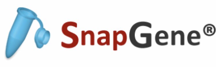 Proud to announce that we are sponsored by <a href="/SnapGene/">SnapGene</a> for #iGEM2019!! We are incredibly honoured and can’t wait to use the program! 🤗

#SnapGene #SyntheticBiology #iGEM #NTUiGEM2019 #Singapore