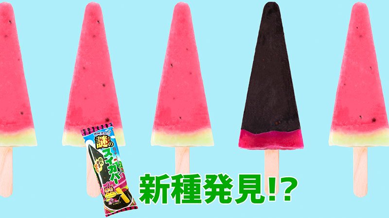 謎のスイカバー 謎のスイカバー