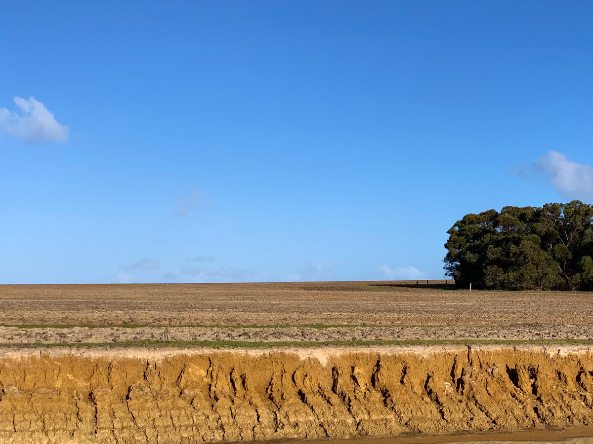soilpED's tweet photo. ‘Speeding’ underway on Kangaroo Island on non-wetting sand over shallow clay. Trials set up with spread clay, spaded clay and lime incorporation. Before and after moisture probe data will be interesting to watch! #spading #seeding #metos #watchthisspace https://t.co/DwPR7IrKPQ