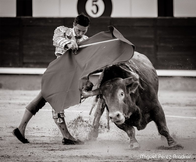 miguelmipereza's tweet photo. Y si es hoy??
@urdialesweb 
@LasVentas 
Corrida de Beneficencia

Fotos @miguelmipereza https://t.co/e0klniVbYL