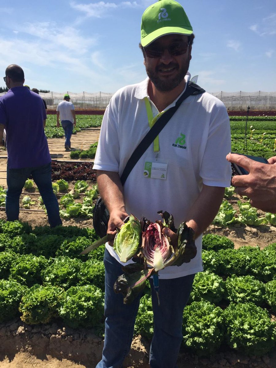 #LettuceEventGreece2019 Second day! <a href="/RijkZwaan/">Rijk Zwaan</a> <a href="/DTsiatouras/">Diamantis Tsiatouras</a> <a href="/geotitros/">Pavlos Pavlidis</a> <a href="/StarakisAlex/">Alex Starakis</a> <a href="/VezyroglouFarm/">Vezyroglou Farm</a> <a href="/A_Vezyroglou/">Antonis Vezyroglou</a> <a href="/ElsaTyrekidou/">Elissavet Tirekidou</a> @PABriones_Canto