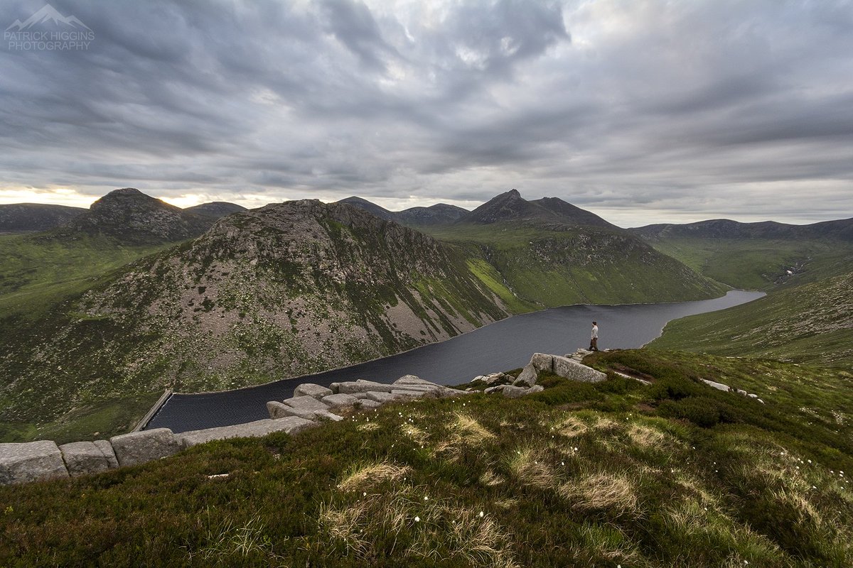 Paddy Higgins tweet media