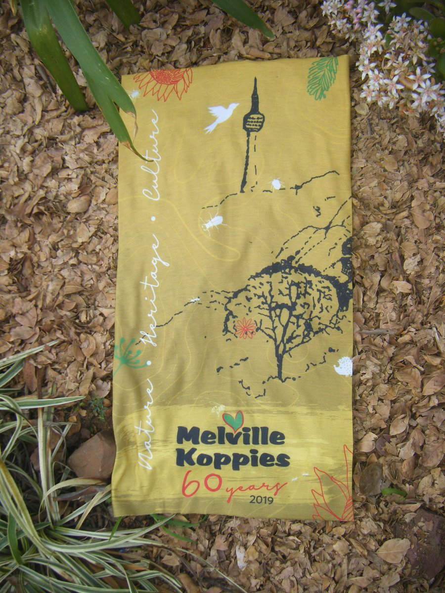 Melville Koppies: 60 years old of being a nature reserve and heritage site. To celebrate they have made bags and buffs.Funds from the sale of these only R50 each, are for the maintenance of the Koppies. 011 482 4797 or e-mail wendavid@mweb.co.za or info@era.org.za for more info