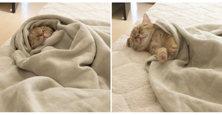 *делоть нечего так что хочу сделать цепочку* :3
АОАОАОАОАО МОИ ЗОЛОТЫЕ ПУПСЫ МАКСИМАЛЬНАЯ ПОДДЕРЖКА
🍑 делай РТ этого твита🍑
🍑Читай меня, я взаимный🍑
🍑Читай ретвитнувших🍑
🍑Радуйся новым читателям🍑
🍑Шутка про 0 РТ🍑

#ЦепочкаТвиттерских 
#ЦепочкаФолловеров