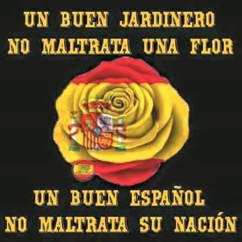 Pilar tweet media