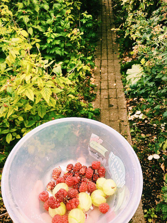 AlaraCereals's tweet photo. Did you know breakfast grows on trees? And shrubs? Our founder, Alex, has picked his own fruits to enjoy with some Alara Classic Apple Bircher Muesli to celebrate Wake Up To Organic today. #WakeUpToOrganic https://t.co/ofJbnF3Q5w https://t.co/BXgCsQI2Nd