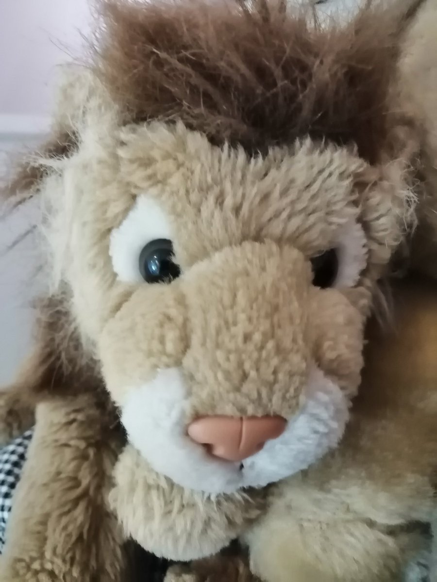 FaustusFox's tweet image. GoOd OnE GUiT&amp;gt;&amp;gt;&amp;gt;&amp;gt; xxX