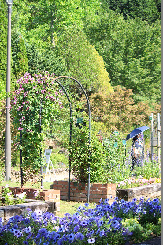 大阪府立花の文化園 植物園 公式 6 16 日 コスプレの日 ごめんなさい T T アジサイが昨年の台風の影響でお花が少な目です ユリが ユリがあります 花の文化園 植物園 コスプレ 紫陽花 アジサイ T Co C8pjl3pdqe Twitter