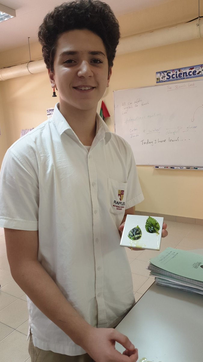 Year 10 students investigating Photosynthesis. 
#starchtest. #RafflesIsScience  #Science