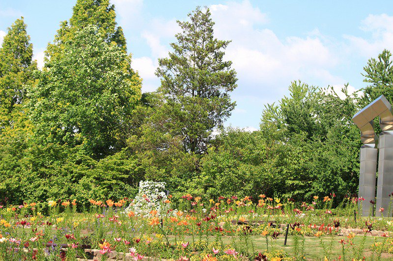 大阪府立花の文化園 植物園 公式 7 4アジサイ剪定予定です バラも6月いっぱいはご覧頂けますが 秋バラのために7月 剪定を予定しています ご希望の方はお早目にご来園ください 花の文化園 植物園 趣味の園芸 大阪 コスプレ ユリ ダリア
