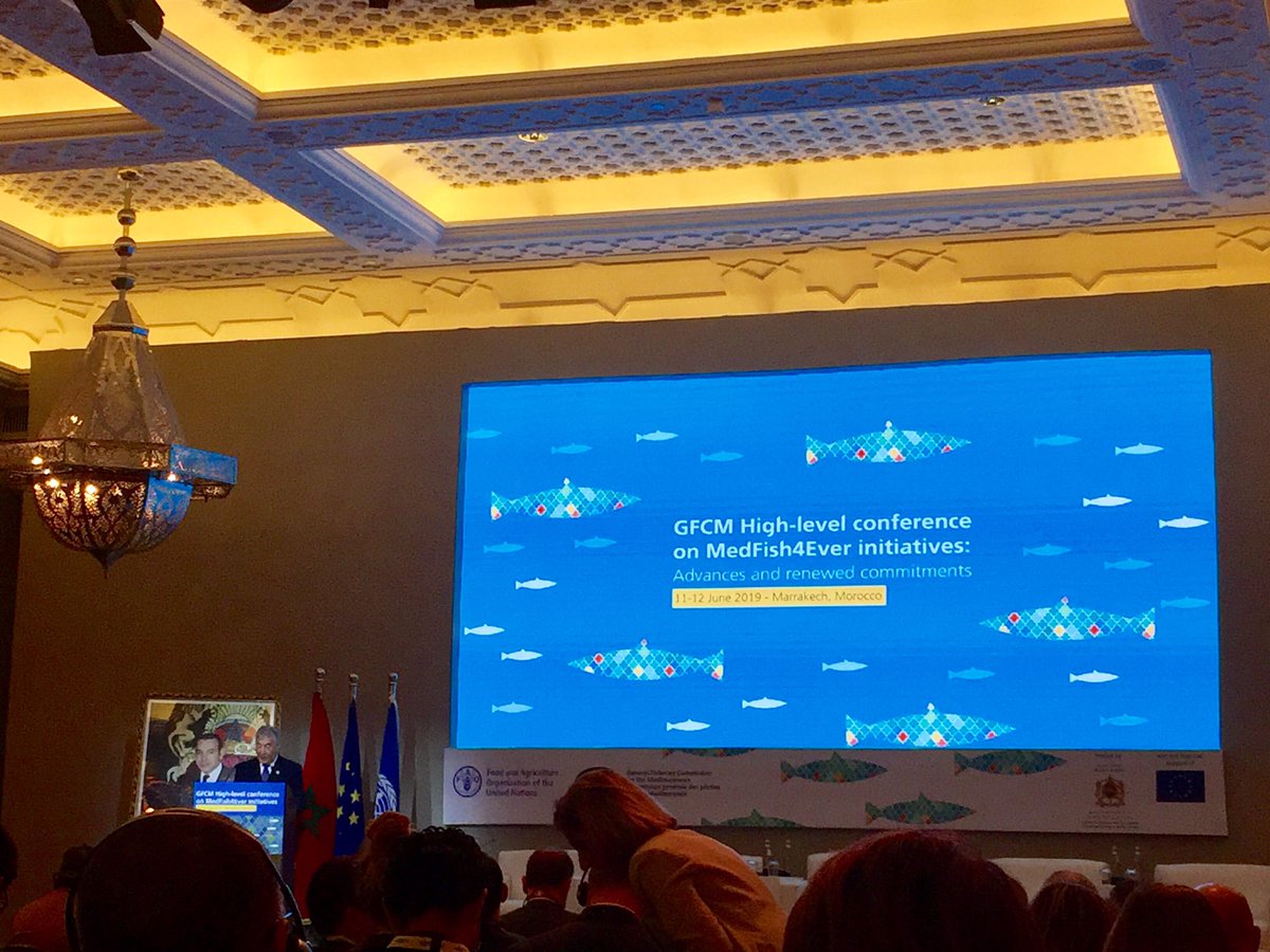Nawelk90's tweet photo. @KarmenuVella point out the achievements of #MedFish4Ever initiative, specialy regarding the importance given to #SSF 🐟 in the #Mediterranean , and the importance to keep the process going on ! https://t.co/7DDGgDT0bw