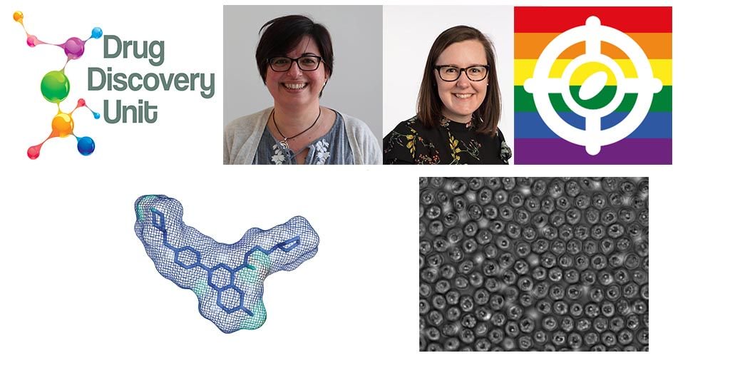 Great opportunity for a senior #biologist to join @baragana_b @goldenpipette @DDU_Dundee and help lead #drugdiscovery for #malaria #cryptosporidiosis. Apply buff.ly/2KIUrVD deadline 15June. Please RT @MedsforMalaria @DNDi @BSPparasitology @IDHubFSG @edin_EID @WCIPGLASGOW