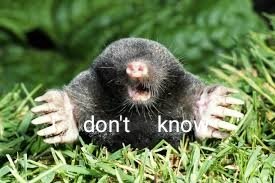 Mountainmoth2's tweet photo. My dead arse whenever moles came up #aqachemistry https://t.co/rvgsmojfUP