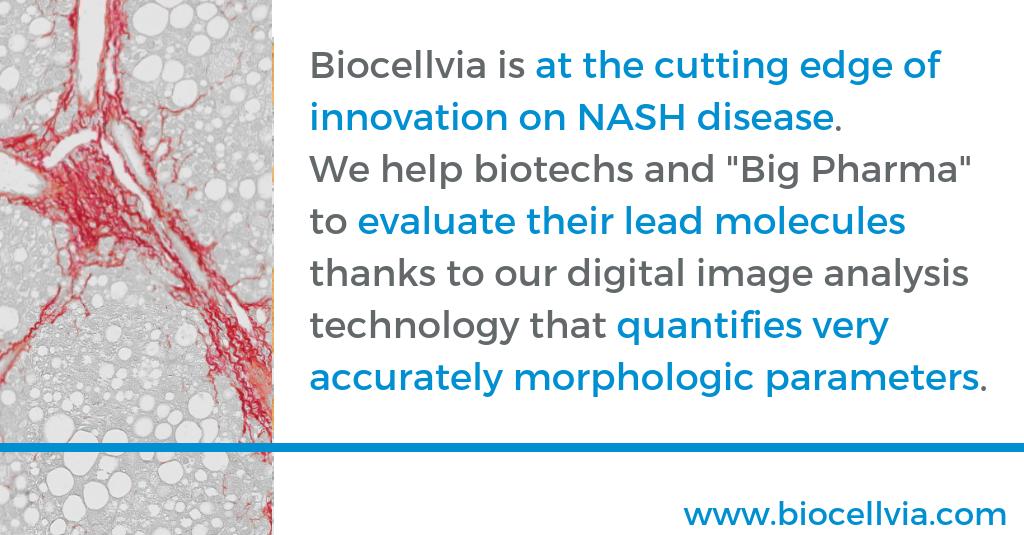 On this International NASH Day, Biocellvia wants to highlight its own involvment in the research to fight this disease.
More info on : lnkd.in/gRvWq6F
#NASH #NASHdisease #InternationalNASHday #NAFLD #NASHday #liver #biotech #medtech #pharma #obesity #diabete #startup