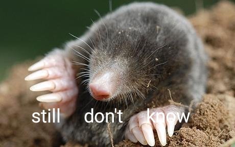 Mountainmoth2's tweet photo. My dead arse whenever moles came up #aqachemistry https://t.co/rvgsmojfUP