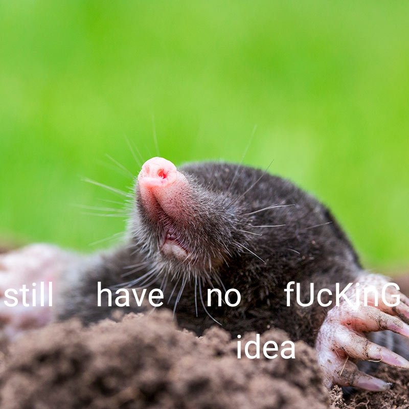 Mountainmoth2's tweet photo. My dead arse whenever moles came up #aqachemistry https://t.co/rvgsmojfUP