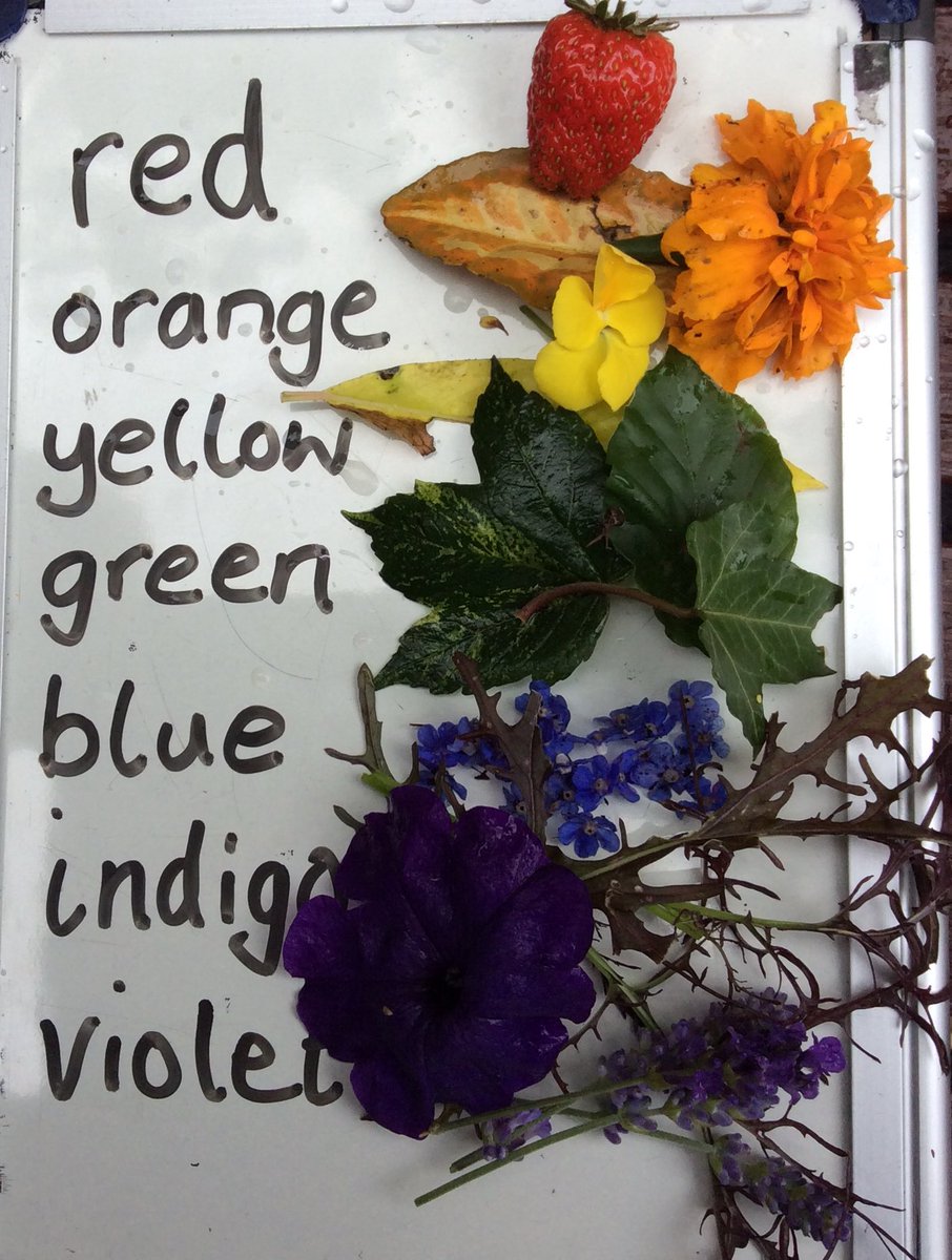 AUH_school's tweet photo. Day 12 of #30DaysWild and the children of Acorn Class have searched the playground to find a plant of every colour of the rainbow. https://t.co/Hhpvh8R4Tz