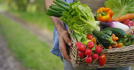 FarmCafe_BE's tweet photo. Kan het Pajottenland Brussel voeden? 8 thesisstudenten van professor Frank Nevens (UGent) delen graag hun bevindingen! 
https://t.co/64UsgdttGy https://t.co/4fEigwPk45