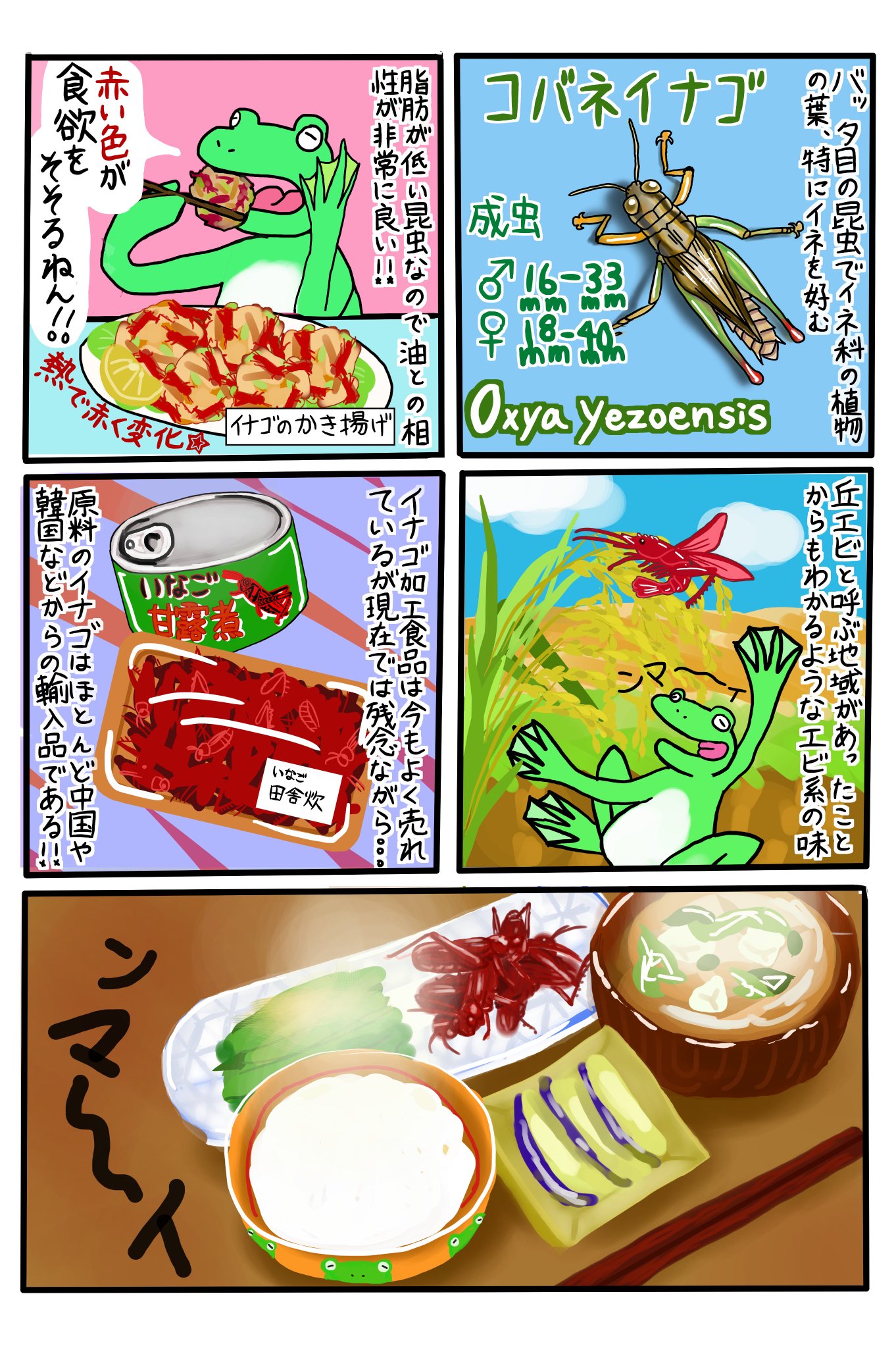 昆虫エネルギー研究所 Twitter પર 昆虫食マンガ 昆虫食ノススメ 第1話は イナゴは丘のエビ です 面白かったら リツイートよろしくお願いします 昆虫食 食用昆虫 昆虫料理 未来食 奇食 Entomophagy Edibleinsects Futuerfoods T Co 昆虫エネルギー研究所 Twitter પર 昆虫食マンガ 昆虫食ノススメ 第1話は イナゴは丘のエビ です 面白かったら リツイートよろしくお願いします 昆虫食 食用昆虫 昆虫料理 未来食 奇食 Entomophagy Edibleinsects Futuerfoods T Co