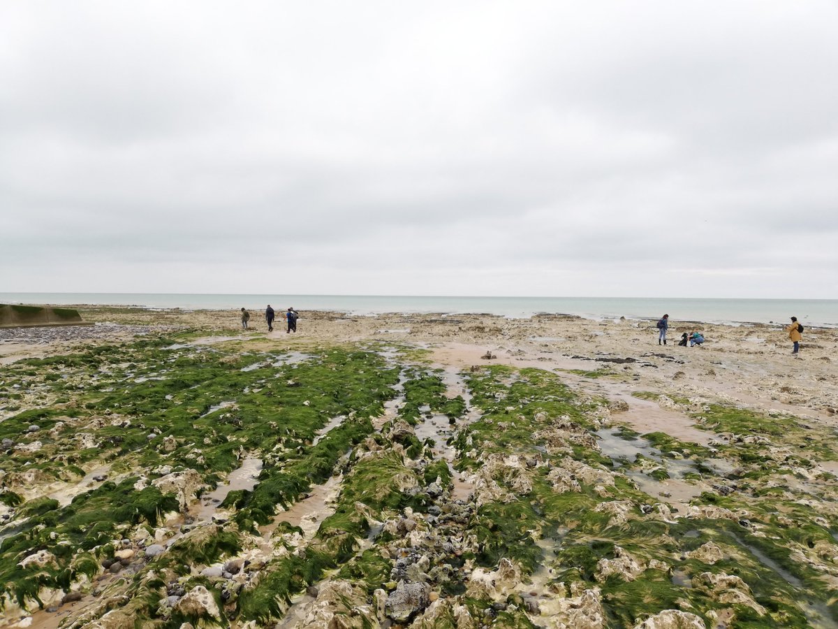 WEarthday's tweet photo. Evariste cleaning Ste Marguerite beach #oceaninitiatives #JDO2019 #ErasmusPlus https://t.co/XPIN7ZK0NZ