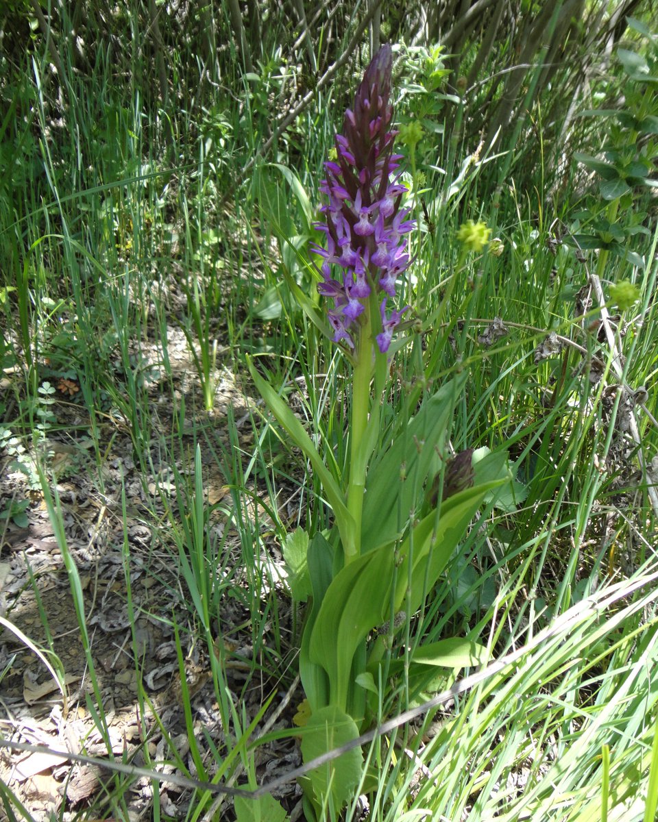 youtu.be/Flfj_0QlSJ4

Videoyu izlemek için linke tıklayınız