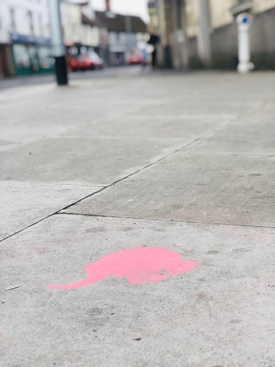 ElephantPip's tweet image. I will be in this very position in 3 days time &amp;amp; I can’t wait - Barrack Corner, Norwich Rd😆🎉 Be sure to pop along to my family’s store @CoesIpswich to see their new Elmer window which features the trail map and 3 of the Learning Herd too! #seeyousoon #ElmersBigParadeSuffolk