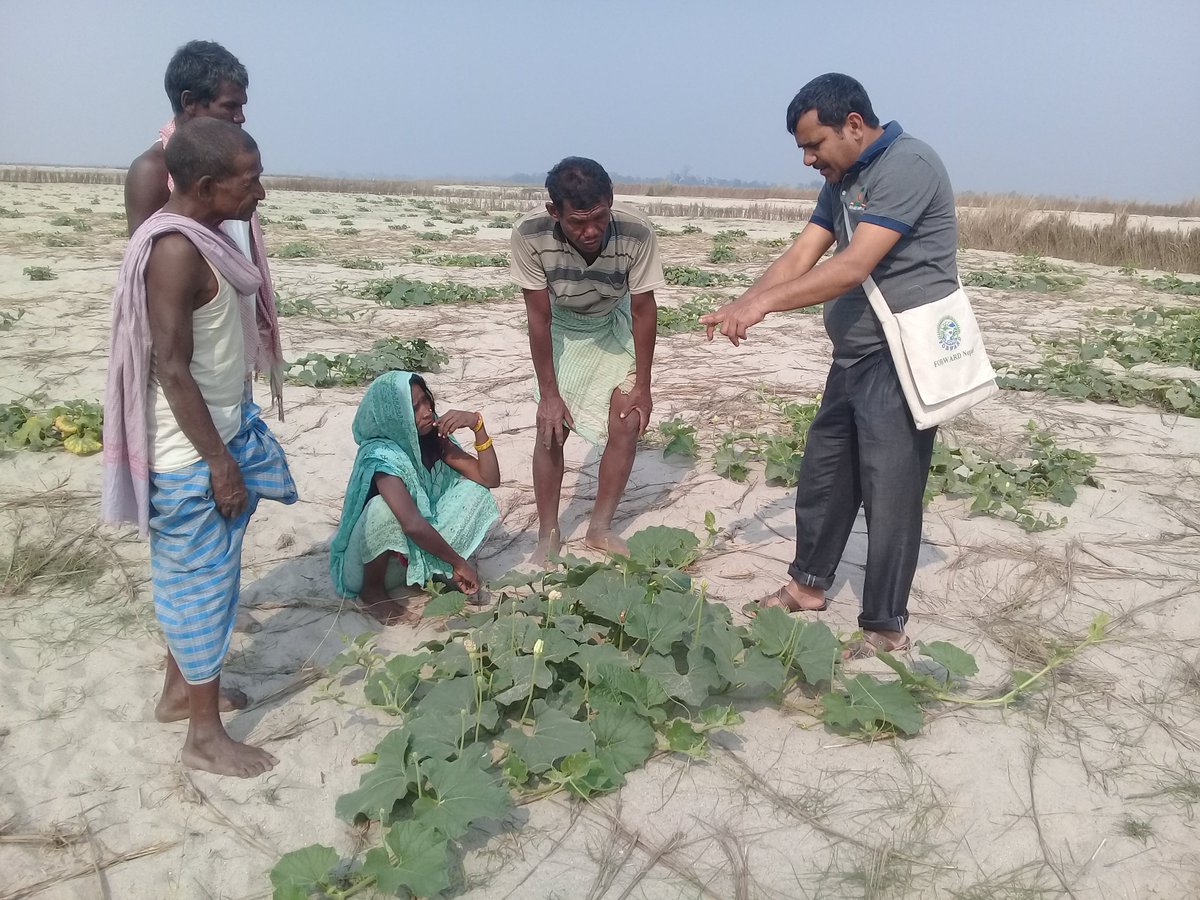 WHH_Nepal's tweet photo. Tanka Prashad Acharya, Agriculture Officer from Forward Nepal advises farmers from #KamalaRiverBasin, #Siraha on #RiverbedFarming.
#ZeroHunger 
#ForwardNepal #AasamanNepal 
@BMZ_Bund 
@Welthungerhilfe https://t.co/e8NloTPF3s