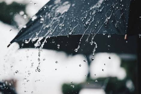 OFingerz's tweet photo. Rain II https://t.co/7ElhHuHkjG https://t.co/58LGssEZig