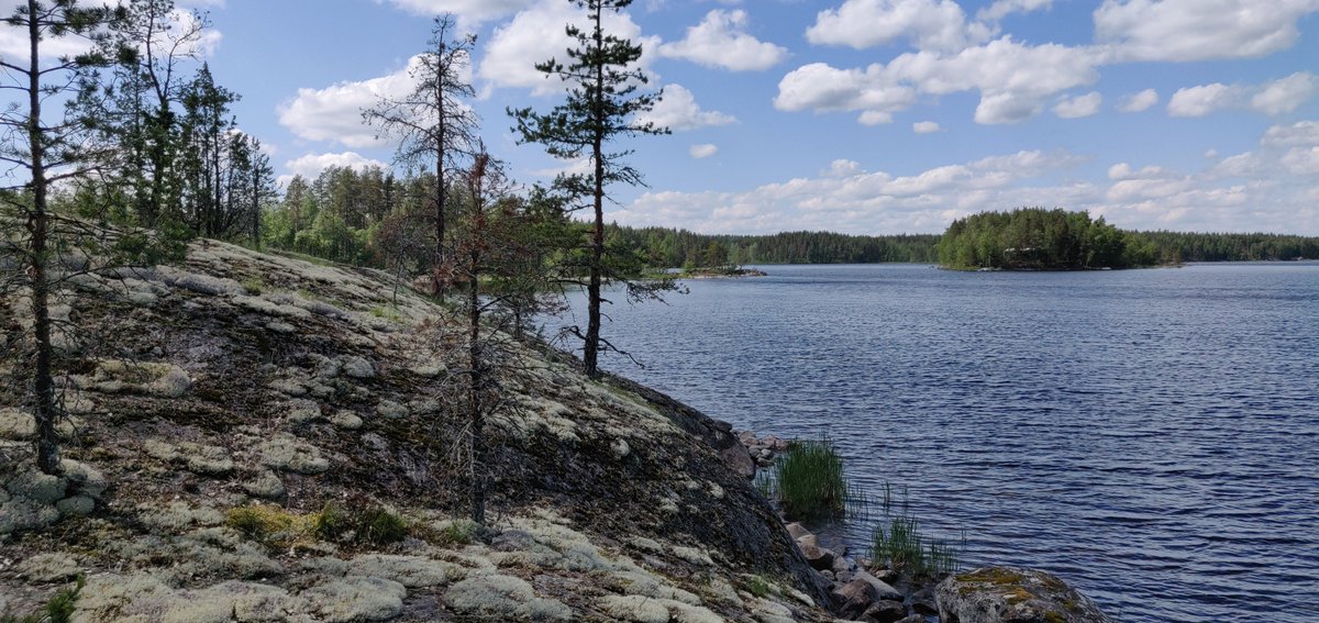 AhonenM's tweet photo. Oma mökkitontti #Saimaa'lta? Esmes tämä 5000m2 #Puumala'ssa huutaa luokseen. Tämä ja muutama muu allekirjoittaneella https://t.co/ho2D4dek04. Kysy rohkeasti ja voit päästä jo tänä kesänä hoodeille #kesä #myydään #rantatontti #kesämökki #mokkitontti #rakennnusoikeus #vapaus https://t.co/YHhRG1Nmw8