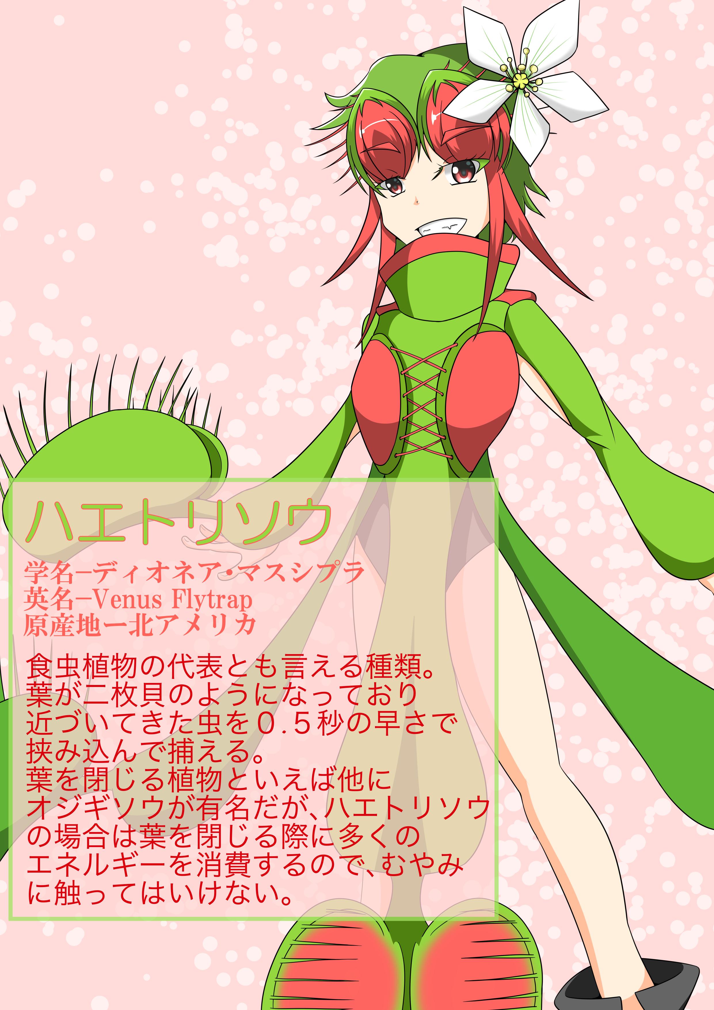 雪吊 食虫植物のハエトリソウを擬人化してみました 冬の寒さにも強く 初心者にも育てやすい品種です 日光が好きなので日当たりの良いところで育てましょう ただし夏場の強い日光には当てないこと イラスト好きな人と繋がりたい 擬人化 食虫植物