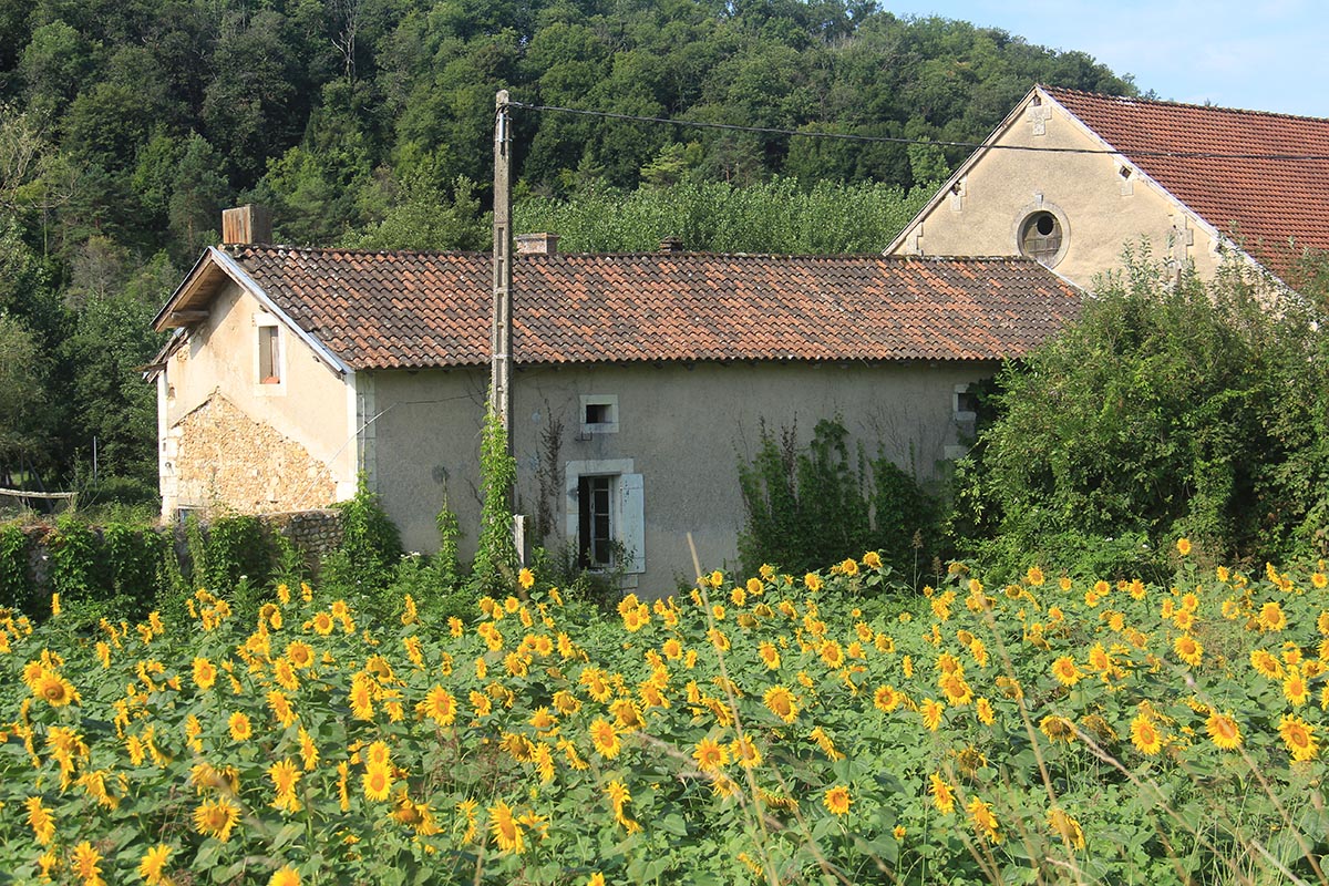 Terredeliens's tweet photo. Les #fermes Terre de Liens continuent de pousser ! 🌱 La Forge, située près de Périgueux, est la 187e ferme acquise ! 71 hectares et 6 porteurs de projets (paysans-boulangers, petits fruits, élevage caprin, paysans-brasseurs) 🍺🐐 ! Toutes les fermes ici : https://t.co/pJnxrS0v8e https://t.co/3KDkMZCczC