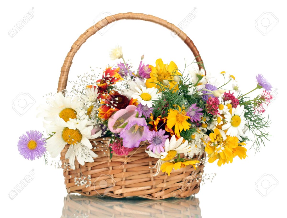 Miranda Facciamorete Fravella74 Buon Compleanno Infiniti Auguri