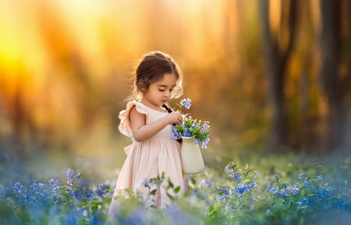 ramblingsloa's tweet photo. Don’t wait for someone to bring you flowers. 
Plant your own garden and decorate your own soul.

Pic Lilia Alvarado https://t.co/e33eL1spLP