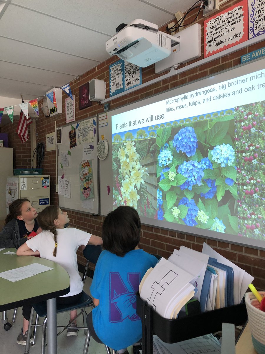 lynnsurico's tweet photo. Learning about botanical landscaping with photo stories and with a design built through Minecraft #4thTAP #definedstem #kip109 #engage109 https://t.co/ijg6eCy6Vj