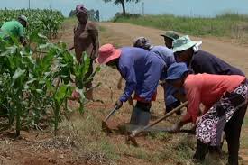 Agri_FinanceKe's tweet photo. Whether pouring milk on your cereal or biting into a fresh apple most people know that the food we eat each and every day is thanks to hardworking farmers and ranchers. @FarmFlavor
#KIPPRAConference2019 #GenderedDevelopement https://t.co/YuquJmIexP