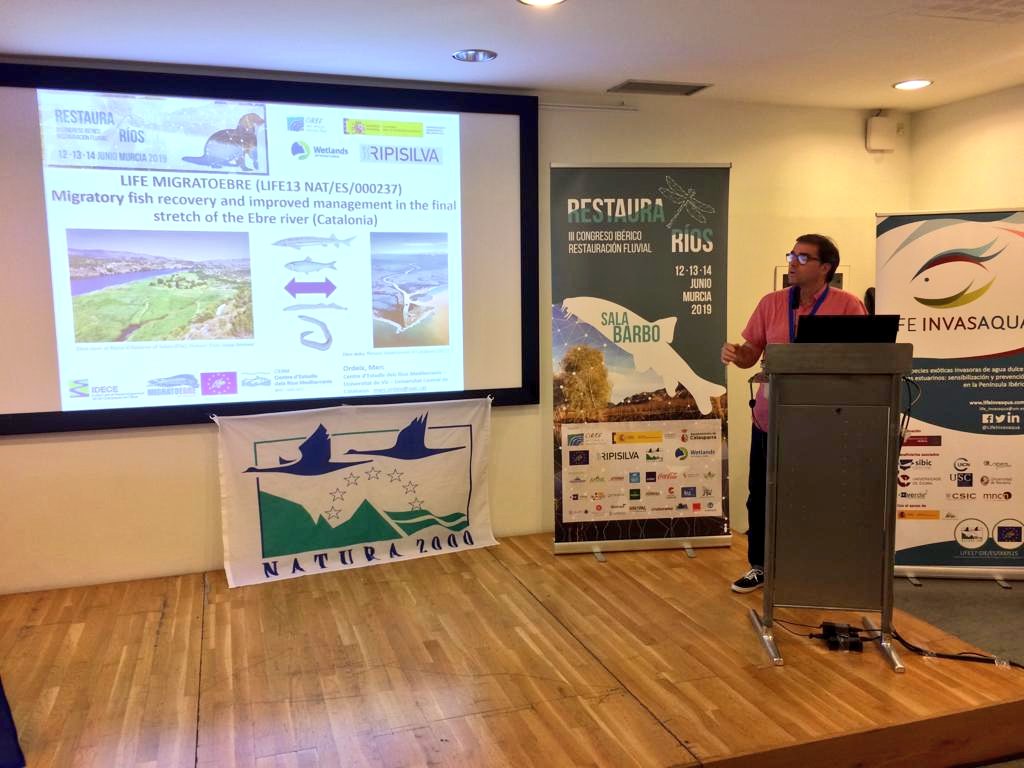 cerm_uvic's tweet photo. Marc Ordeix i Jordi Camprodon participen en un taller sobre espècies invasores en els projectes @migratoebre @LifeAlnus i Laia Jimenez exposa els resultats del projecte de restauració de la Noguera Vallferrera a Ainet de Besan @restaurarios_19 @Cirefluvial https://t.co/LVGNCFGw2E