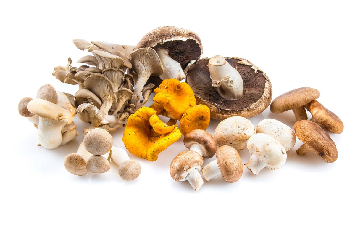 BC Trade+Investment (@bctradeinvest) on Twitter photo DYK? BC’s top five vegetable exports in 2017 were mushrooms, peppers, tomatoes, cucumbers and potatoes.
<a href="/WindsetFarms/">Windset Farms</a> <a href="/suncropbc/">JustOrder🇨🇦</a> <a href="/FalconglenFarms/">Falconglen Farms</a> <a href="/AAFC_Canada/">AAFC Canada</a> <a href="/CFIA_Food/">CFIA</a> <a href="/IAFBC/">IAF</a> DYK? BC’s top five vegetable exports in 2017 were mushrooms, peppers, tomatoes, cucumbers and potatoes.
<a href="/WindsetFarms/">Windset Farms</a> <a href="/suncropbc/">JustOrder🇨🇦</a> <a href="/FalconglenFarms/">Falconglen Farms</a> <a href="/AAFC_Canada/">AAFC Canada</a> <a href="/CFIA_Food/">CFIA</a> <a href="/IAFBC/">IAF</a>