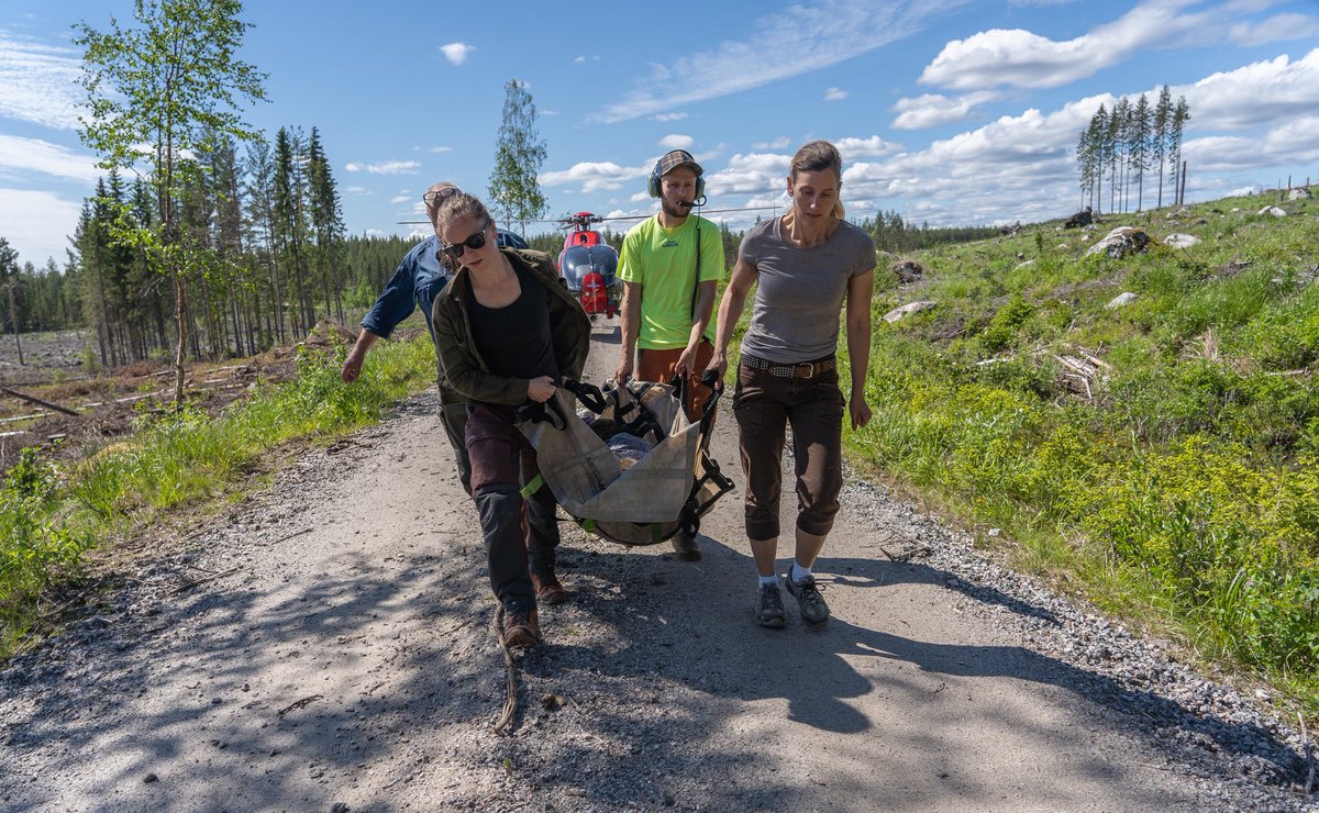 Translational research on bears. Obesity, thrombosis, sarcopenia, osteoporosis- hibernating bears avoid it <a href="/lundbeckfonden/">Lundbeckfonden</a> <a href="/Foghsgaard/">Lasse Foghsgaard</a> <a href="/YndigegnY/">Troels Yndigegn MD PhD</a> <a href="/PeterGodsk/">Peter Jørgensen</a> <a href="/novonordiskfond/">Novo Nordisk Foundation</a> @AllanFlyvbjerg  <a href="/DLBHATTMD/">Dr. Deepak L. Bhatt</a> <a href="/MGtberg/">Matthias Götberg</a>