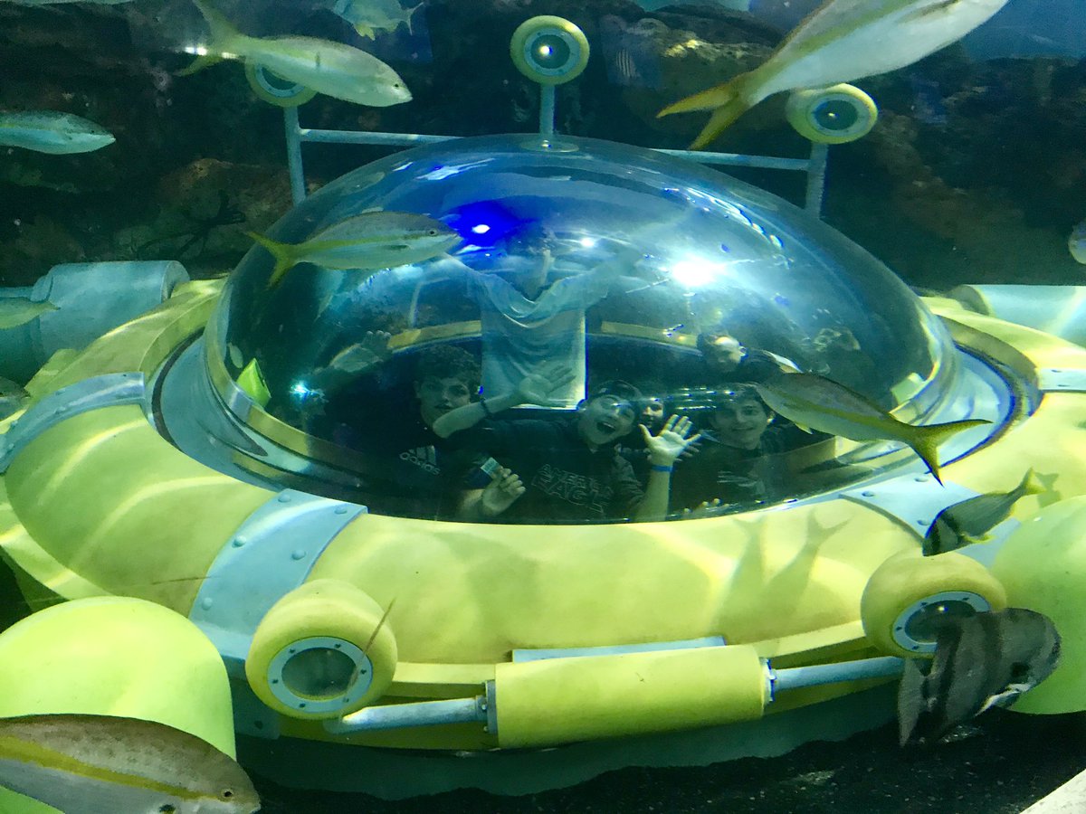 duffclass's tweet photo. Fun times at @RipleysAquaCA with the grade 8s from @LakeSimcoePS! What an amazing place!! https://t.co/uJPY3F4cxD