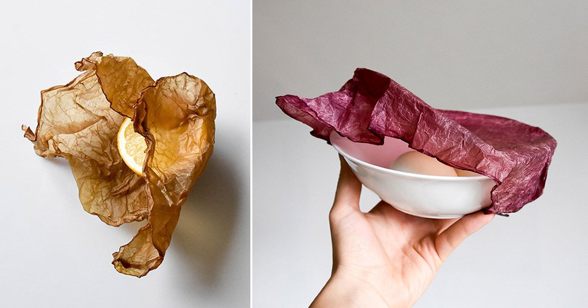 Another great example of a plastic-free, biodegradable alternative we can use to save the planet. Say goodbye to cling film! designboom.com/technology/mak…