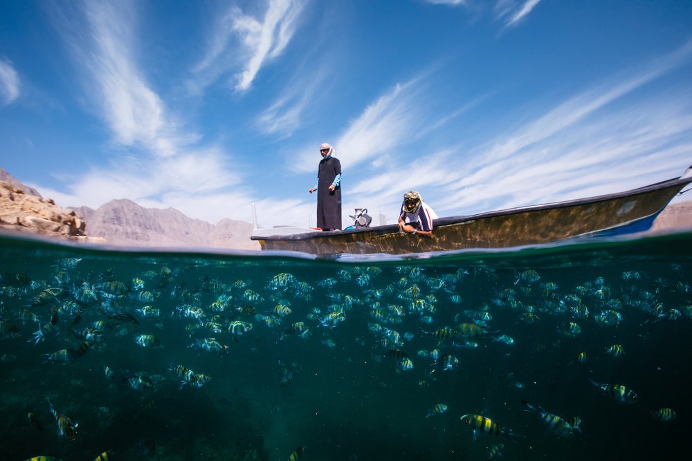 What do #photography and #sustainability have in common? Well, a lot more than you might expect. Explore the connection through @mattporteous's series on sustainable fishing in Oman: adobe.ly/2KCrUkG (via @fubiz) Are you a photographer/conservationist? 📸🌲