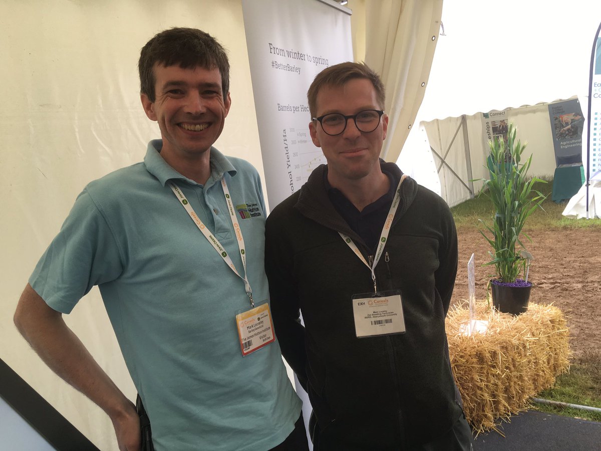 IntBarleyHub's tweet photo. Fantastic day @CerealsEvent Loads of visitors grabbing a @BASISRegLtd point & stopping by for beer (thanks @LawBrewingCo), plenty of chat at the #Impromalt plot & Mark Looseley, barley geneticist of @JamesHuttonInst met a namesake in Marc Loosley, Oat breeder of @ibers_aber! https://t.co/93CvEELHKt