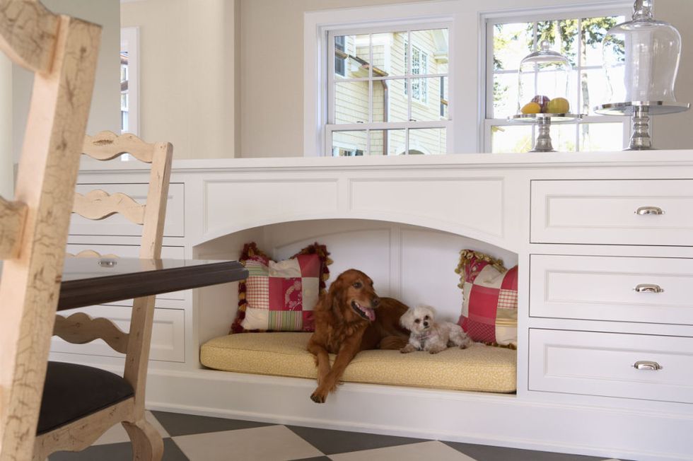 4EliteKitchens's tweet photo. For all the pet lovers out there! #kitchens #remodel #cabinetry #homeimprovement #edmonton #sherwoodpark #bonafide #renovationfind #renovations #yeg #yyc #cabinets #backsplash https://t.co/txJGKNq5OG