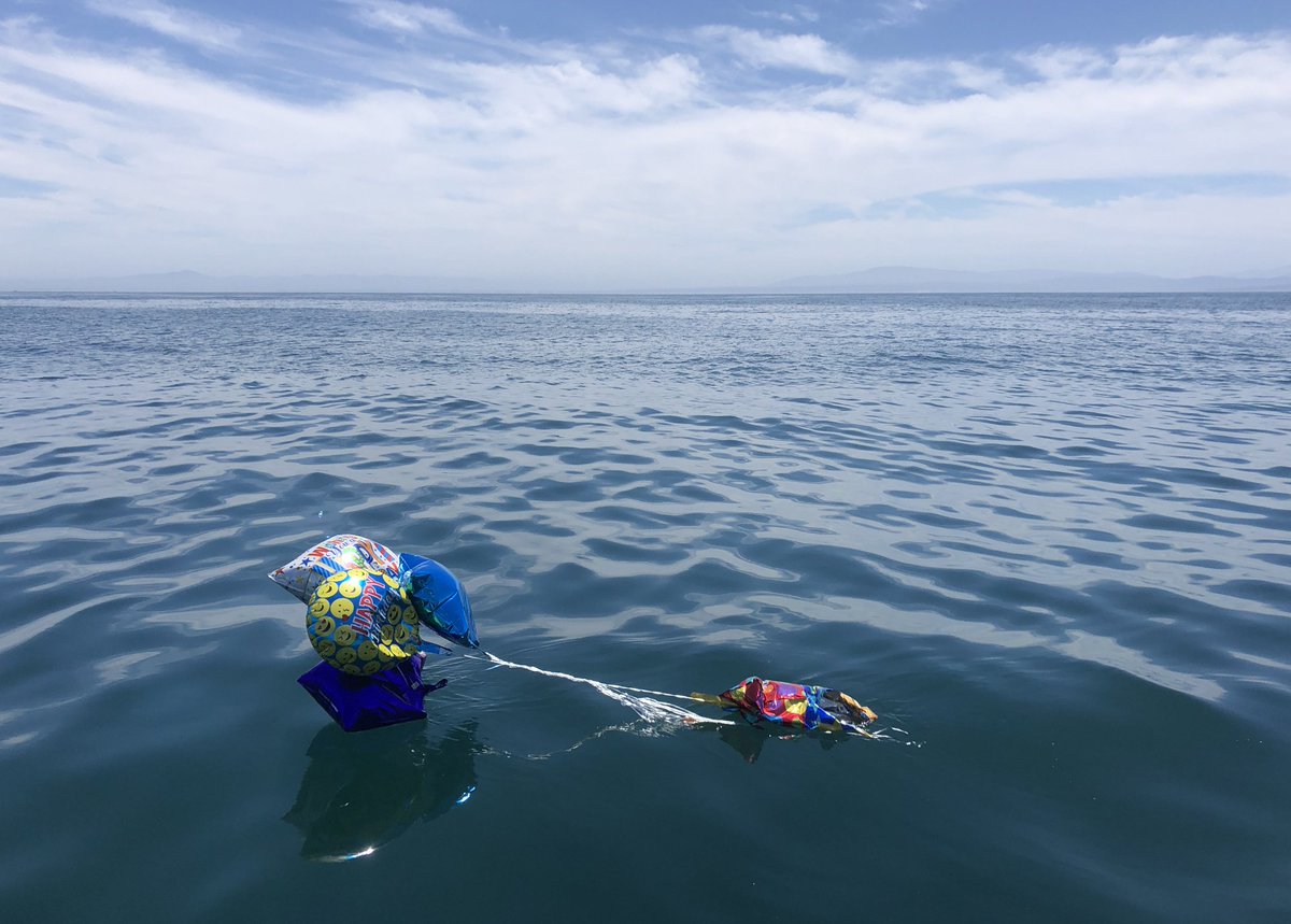 MBARI_News's tweet photo. When a balloon escapes a celebration, where does it eventually come back down?

Unfortunately, the answer is, often they land in the ocean. 
#plasticpollution #SayNoToPlastic https://t.co/emDkX5iv7s