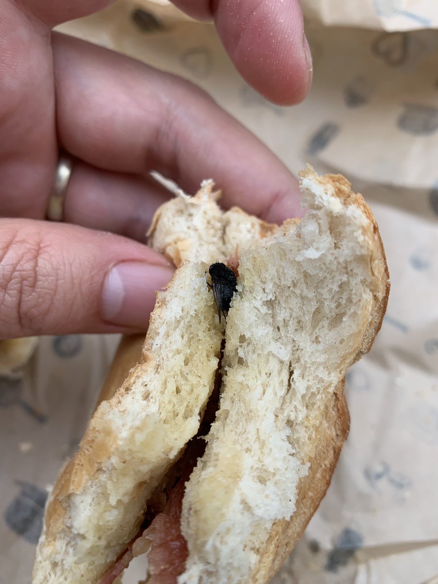 ArtDirectorLDN's tweet photo. @benugo Hi - just bought a bacon roll at your Waterloo concourse branch and discovered this fly in it - handed it back to your disinterested staff - disappointed in service and standards. https://t.co/xLDtrw6f63