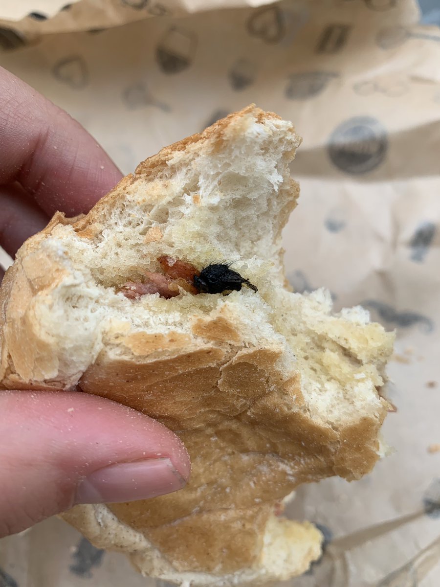 ArtDirectorLDN's tweet photo. @benugo Hi - just bought a bacon roll at your Waterloo concourse branch and discovered this fly in it - handed it back to your disinterested staff - disappointed in service and standards. https://t.co/xLDtrw6f63