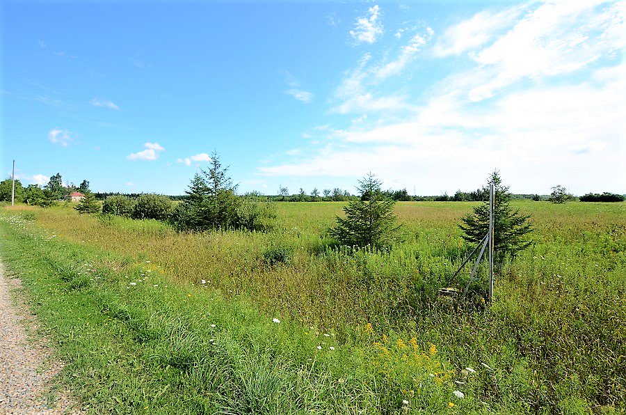 TaunyaMB's tweet photo. HERE IT IS!!! STUNNING PIECE OF LAND-Pt Lt7 6Th Line (Part 4) Line, Amaranth -WOW $339,900 - 2.46 Acres Of Stunning Country Land Just Waiting For You! The Property Is Located Within A 10 Minute Drive To Orangeville,15 Minutes To Shelburne. #orangevillerealestate #dufferincounty https://t.co/CDmdxxC4ke